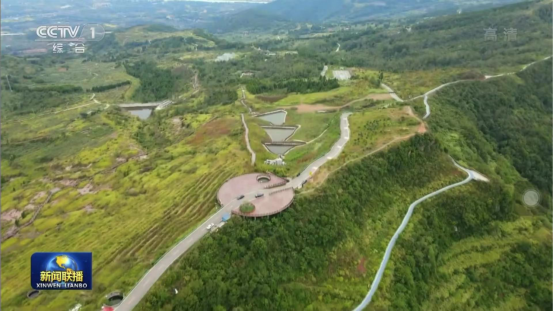 迎橄欖豐收 助鄉(xiāng)村振興 四川旅投聚峰谷油橄欖產業(yè)帶動金堂公園城市綠色低碳發(fā)展
