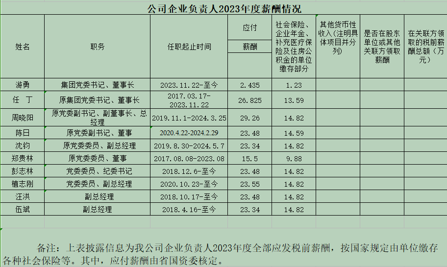 公司企業(yè)負責(zé)人2023年度薪酬情況